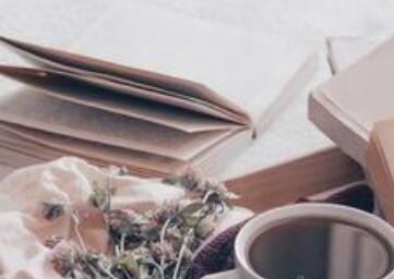 å±±ä¸æè