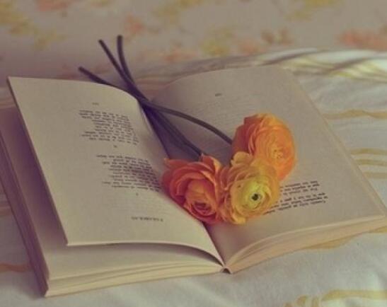 å±±ä¸æè