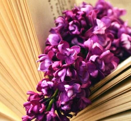 å±±ä¸æè