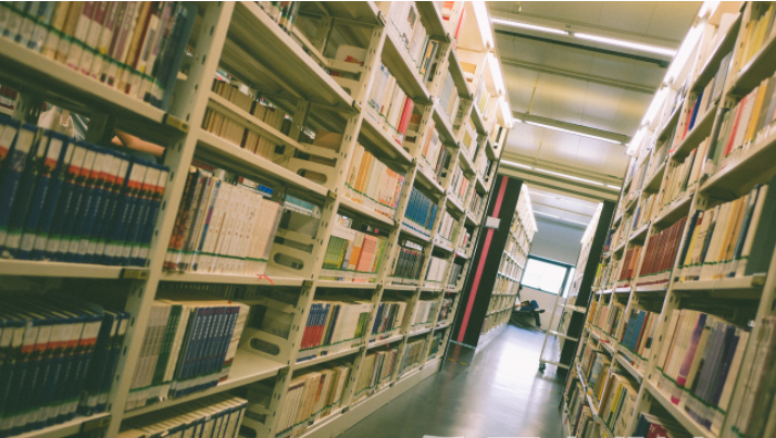 ä¸´æ²æäººé«è