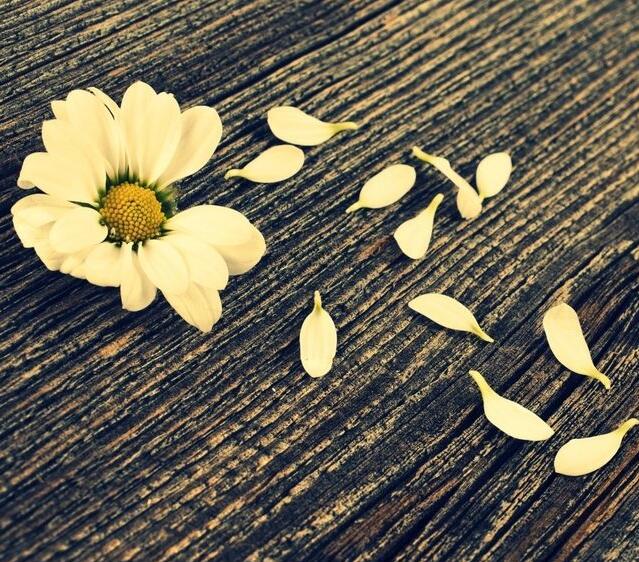 å±±ä¸æè