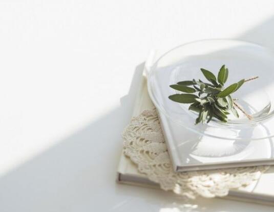 å±±ä¸æè